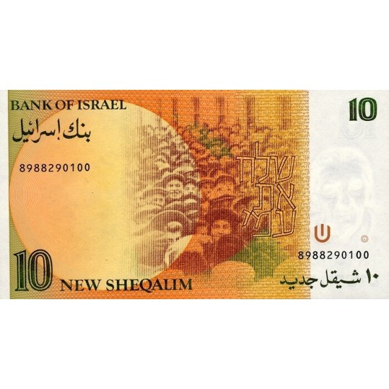 1985 - Israel PIC 53a 10 New Sheqalin Banknote 1985 - Israel PIC 53a 10 New Sheqalin Banknote