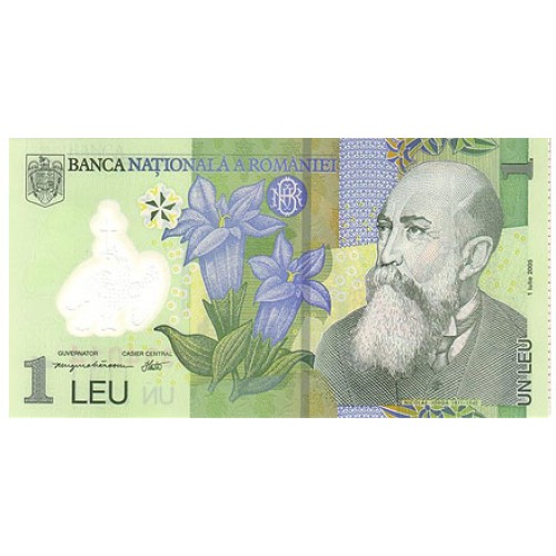 2005 - Romania   Pic  117           1 Lei banknote