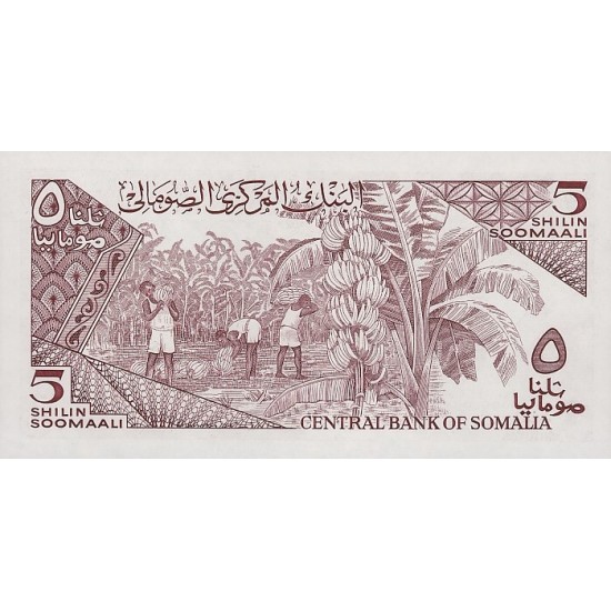 1986 - Somalia Pic 31b 5 Shillings banknote 1986 - Somalia Pic 31b 5 Shillings banknote